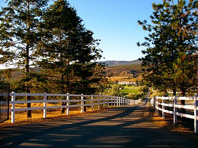 Driveway in Fall